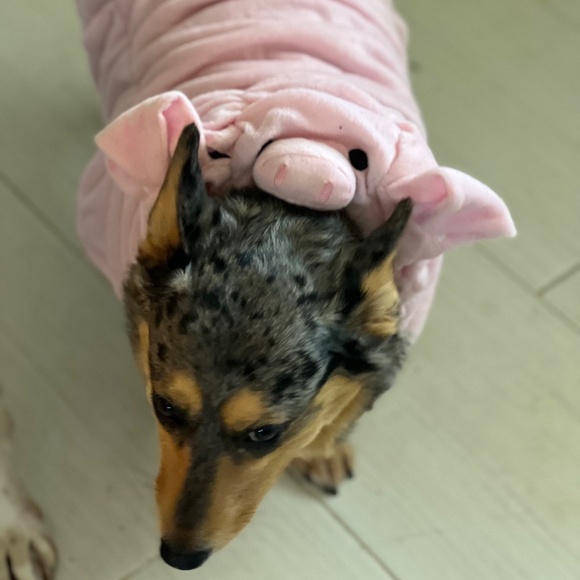 Pet Halloween Pig Fluffy Costume - Picture 2 of 9
